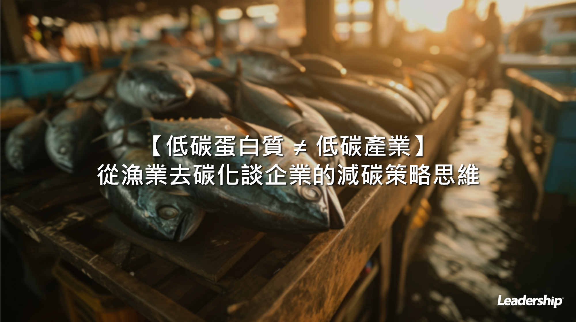 低碳蛋白質 ≠ 低碳產業：從漁業去碳化談企業的減碳策略思維