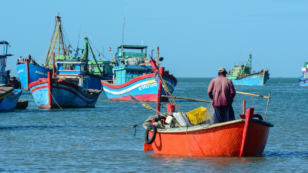 MSC-CoC 海洋管理委員會產銷供應鏈認證
