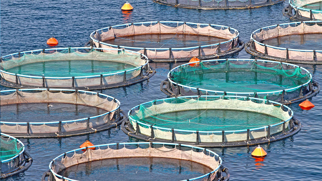 ASC-CoC 水產養殖管理委員會產銷供應鏈認證