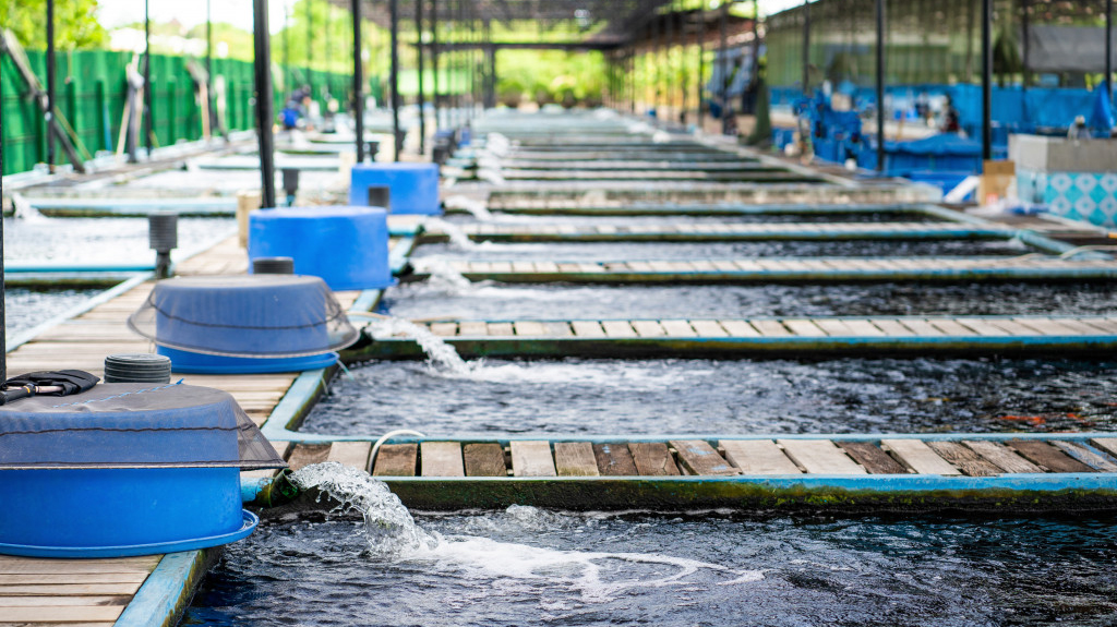 BAP 最佳水產養殖規範認證